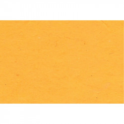 Papier Lokta 80 g/m² 51 x 76 cm Jaune d'or