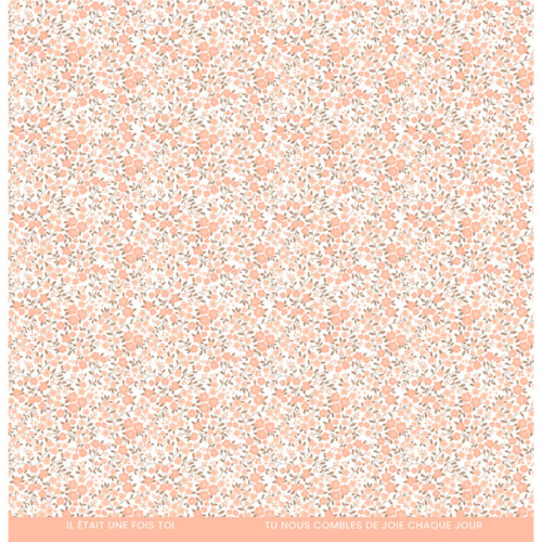 Papier imprimé À petits pas 12