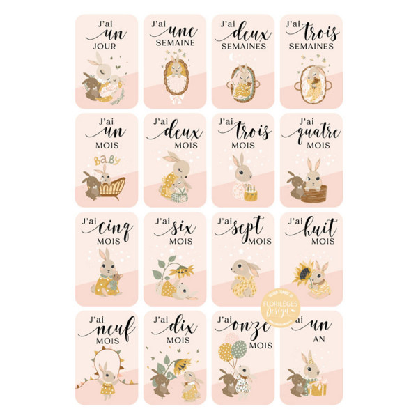 Cartes étape bébé Rose saumon 16 pcs