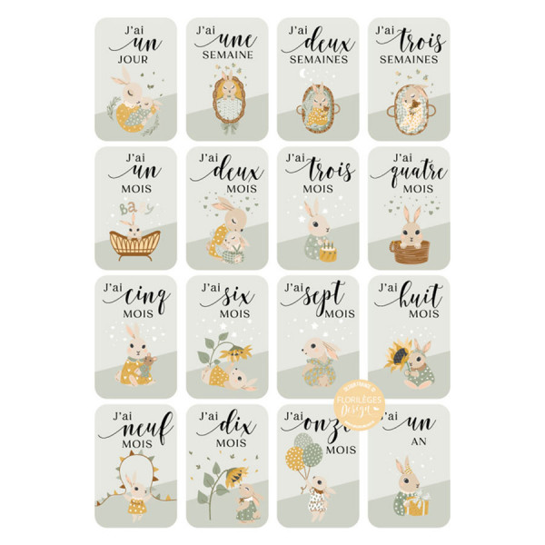 Cartes étape bébé Vert sauge 16 pcs