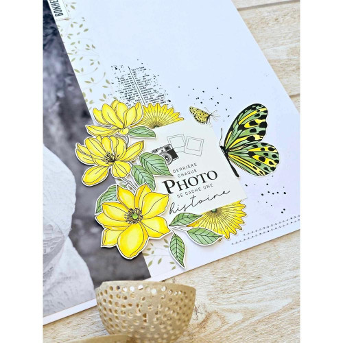 Tampons transparents Planter son jardin