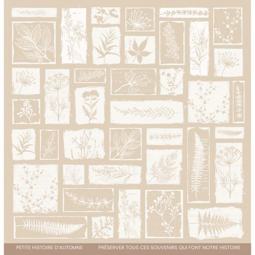 Papier imprimé 30,5 x 30,5 cm Herbarium 4