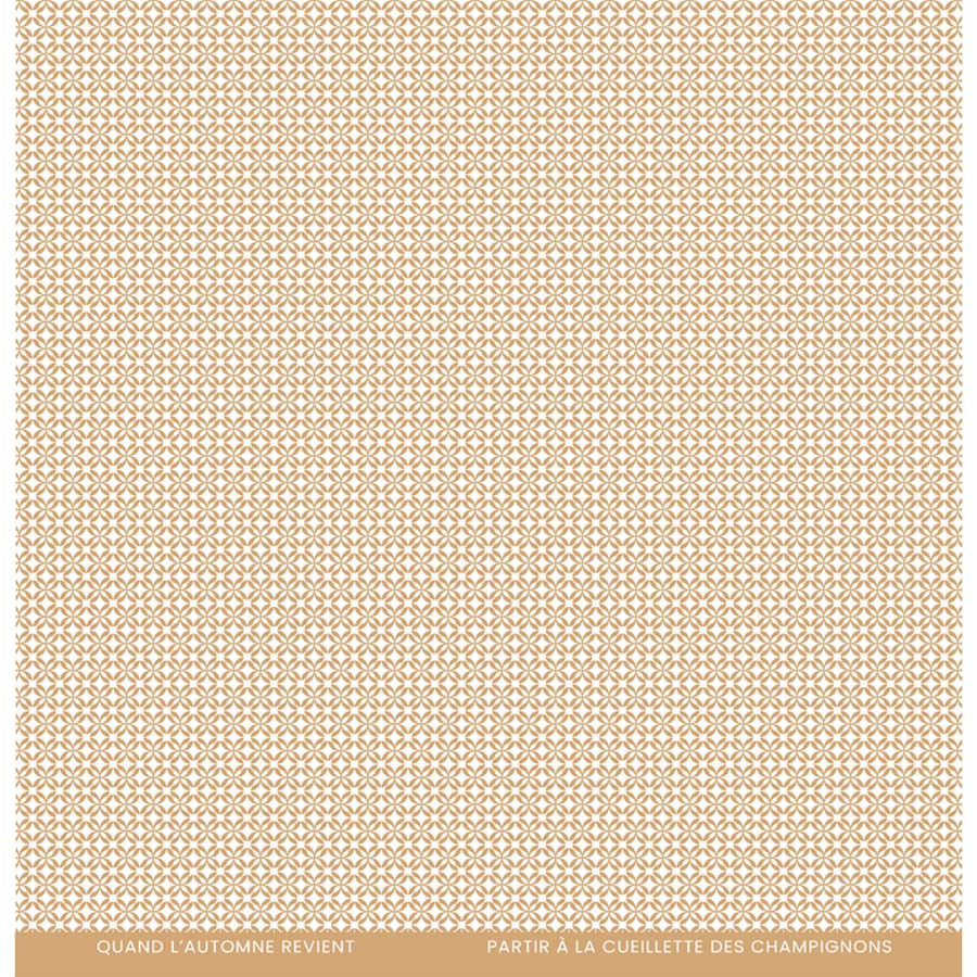 Florilèges Design Kit Papier Unis La Vie En Rose - 6 Feuilles 30,5 X 30,5 Cm 250g/m² Recto-Verso