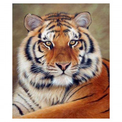 Broderie Diamant 40 x 50 cm Regard de Tigre