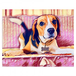 Broderie Diamant 40 x 50 cm Beagle Mignon