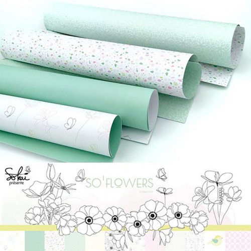 Kit de collection SO' Flowers 12 pcs