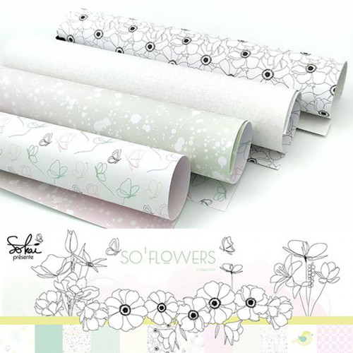 Kit de collection SO' Flowers 12 pcs