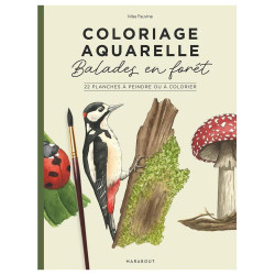 Coloriage aquarelle Balades en forêt 22 planches à peindre ou à colorier - Marabout