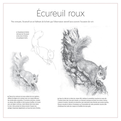 Livre Dessiner tout de suite et facilement : La nature - Éditions Vigot