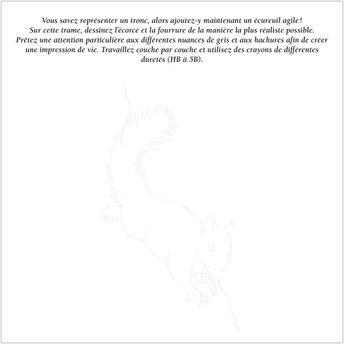 Livre Dessiner tout de suite et facilement : La nature - Éditions Vigot