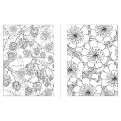 Livre de 100 coloriages Fleurs sauvages - Solar