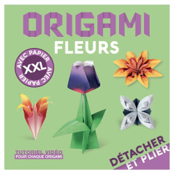 Livre Origami Fleurs Détacher et plier XXL ! - Nuinui