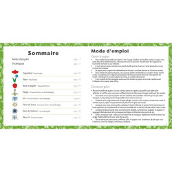 Livre Origami Fleurs Détacher et plier XXL ! - Nuinui