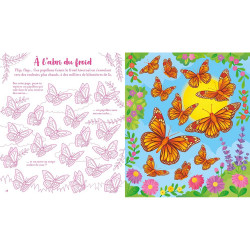 Mon livre à gratter Les papillons - Usborne