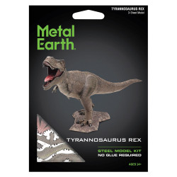 Maquette en métal Tyrnnosaurus Rex