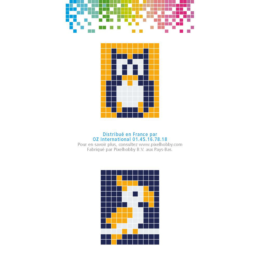 PIXEL Kit Créatif 3 Porte-clés Animaux - PX20130 - Activité Manuelle Enfants 8 Ans Et Plus