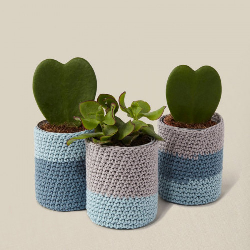 Kit crochet J’habille mes plantes