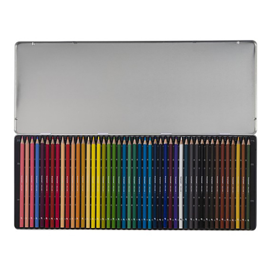 Crayon de couleur Boîte métal Perroquet 45 pièces