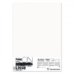 Papier Paint'On Lisse 250 g/m² 50 x 65 cm 10 feuilles