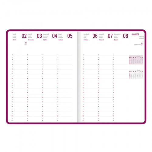 Agenda Semainier 2023 2024 15,5 x 10,5 cm, Agenda Scolaire à Spirale 17  Mois 23 Août