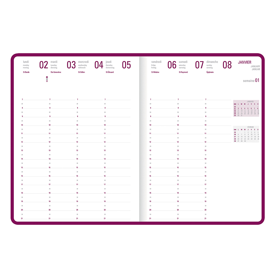 Agenda semainier 2023-2024 17 x 24.5 cm Camelia Lagon Editions