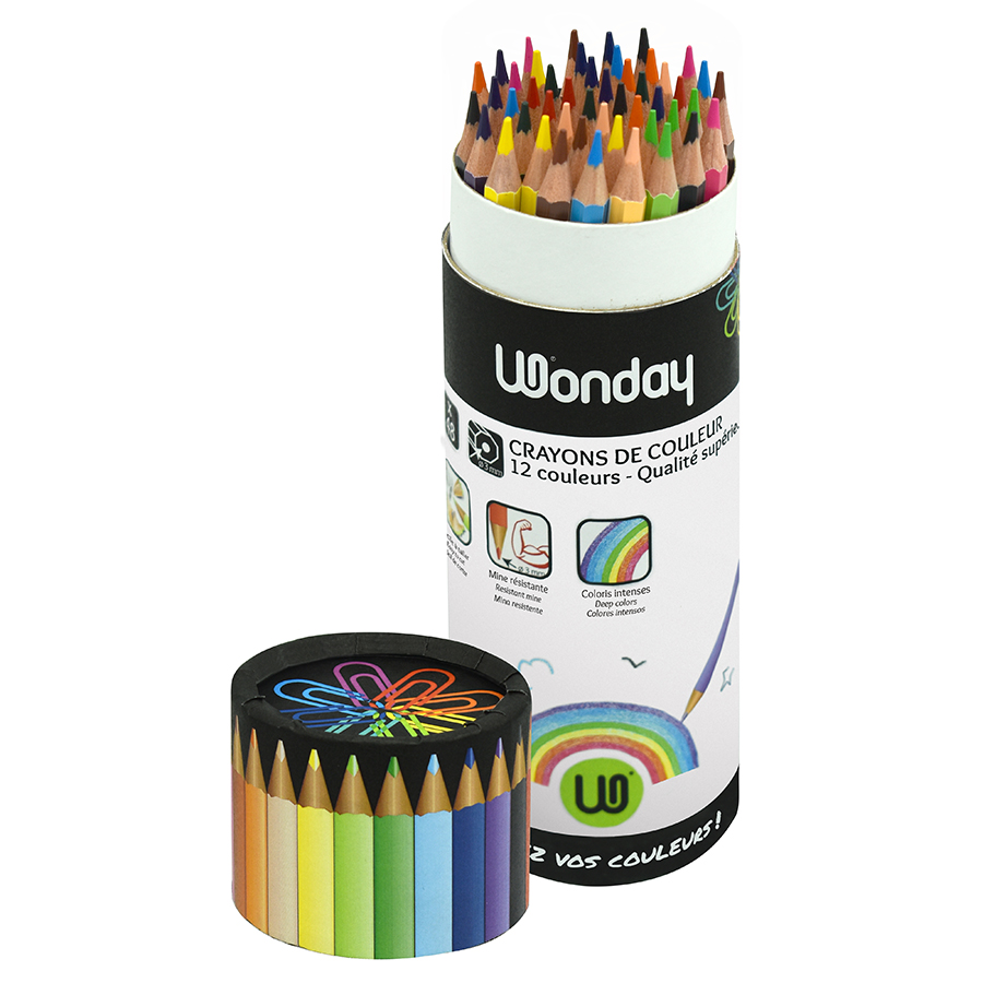 Crayon de couleur en pot 48 crayons pour 12 - Scrapmalin