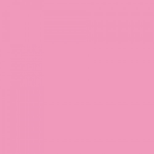 Marqueur à alcool Brushmarker Rose Pink M727