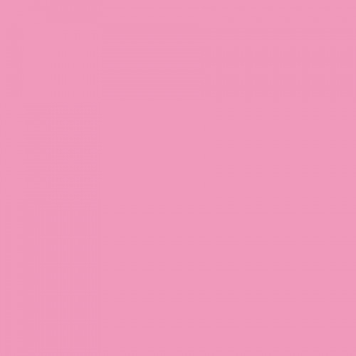 Marqueur à alcool Brushmarker Rose Pink M727