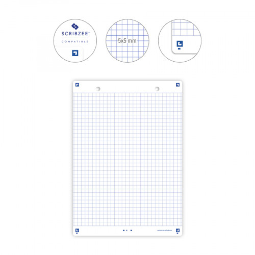 Sachet de 32 fiches BRISTOL REVISION 2.0 non perforées A6 250g 5x5 Assortis