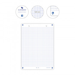 Paquet de 100 fiches bristol non perforées quadrillées 5x5 format 100 x 150  mm couleurs assorties (Bleu, jaune, rose, vert paste