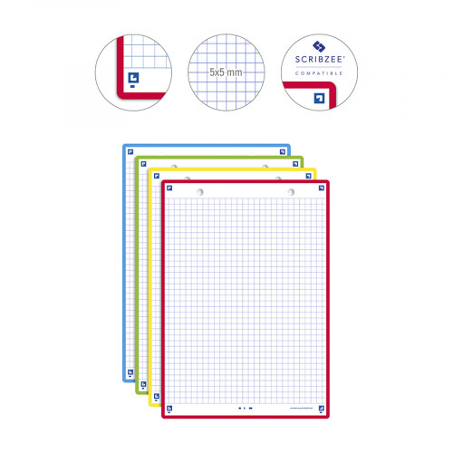 Fiche Bristol Révision 2.0 A5 14.8 x 21 cm 32 pcs Perforée 4 Couleurs assorties