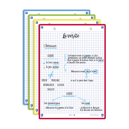 Fiche Bristol Révision 2.0 A5 14.8 x 21 cm 32 pcs Perforée 4 Couleurs assorties