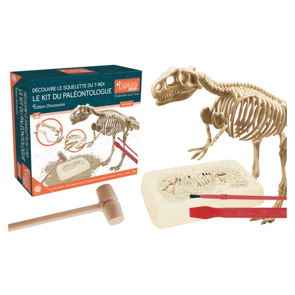 Kit du paléontologue T-Rex