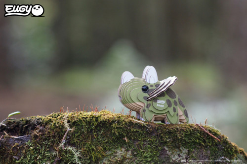 Maquette 3D en carton Triceratops