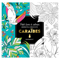 Livre Le petit livre de Coloriage : Caraïbes