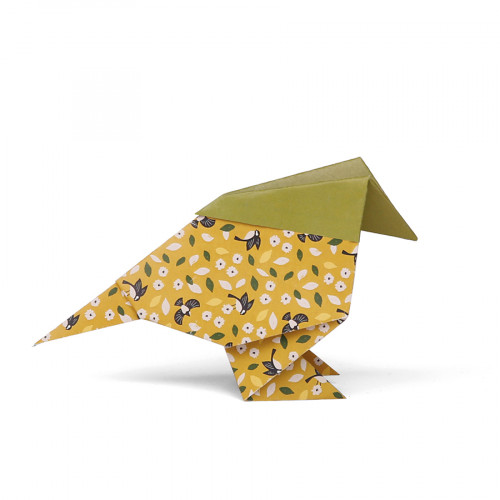 Papier Origami 60 feuilles 3 formats Printemps