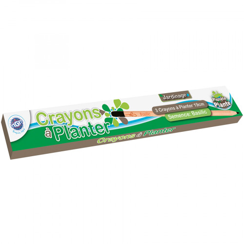 Crayons à Planter 19 cm 3 pcs Basilic