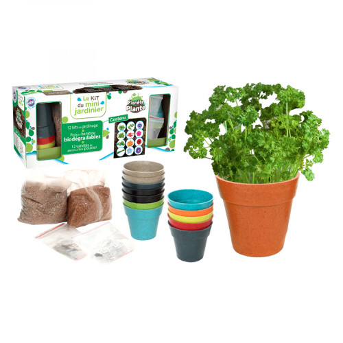 Mini kit plante à faire pousser - Pot en fibre de coco