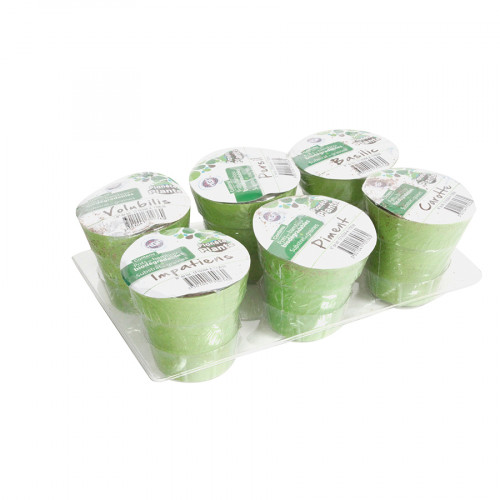 Pots avec Graines 6 pcs