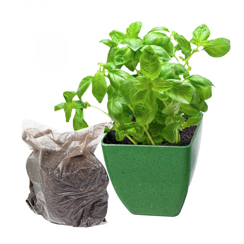 Kit du Mini Jardinier 12 pots - Scrapmalin