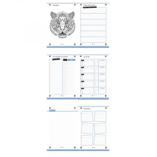 Agenda journalier 12 x 18 cm 2023-2024 Oxford School