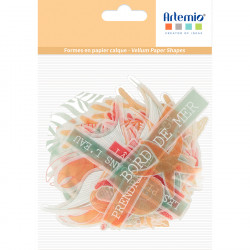 Découpes en papier calque Corail