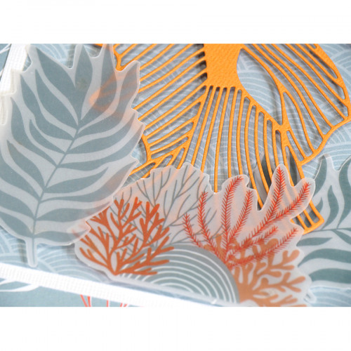 Découpes en papier calque Corail