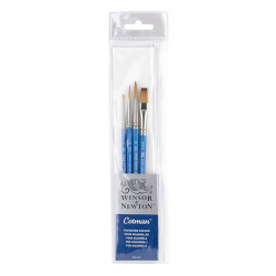 Winsor & Newton