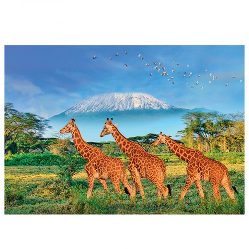 Puzzle 500 pièces XL Girafes