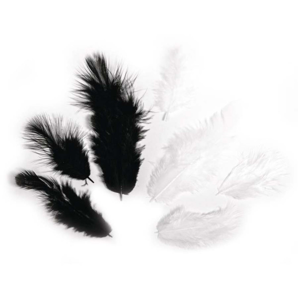 Plumes - Noir et blanc - 3-10 cm - 10 g