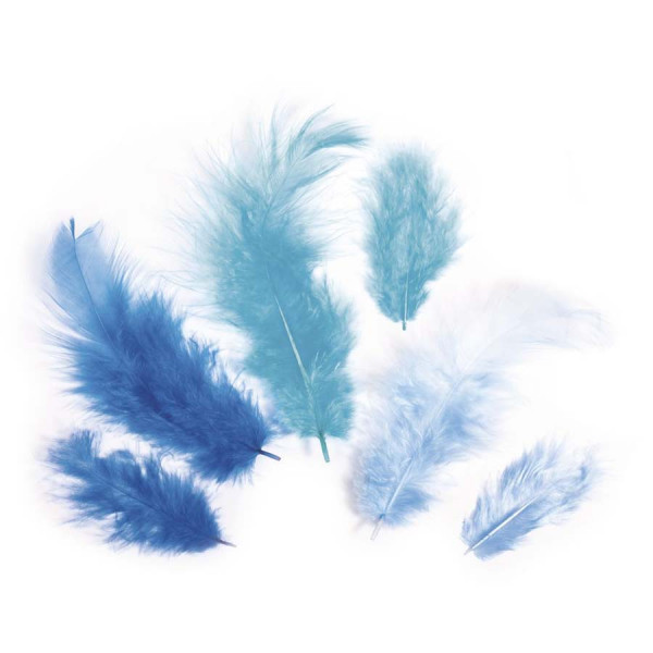 Plumes - Camaïeu bleu - 3-10 cm - 10 g