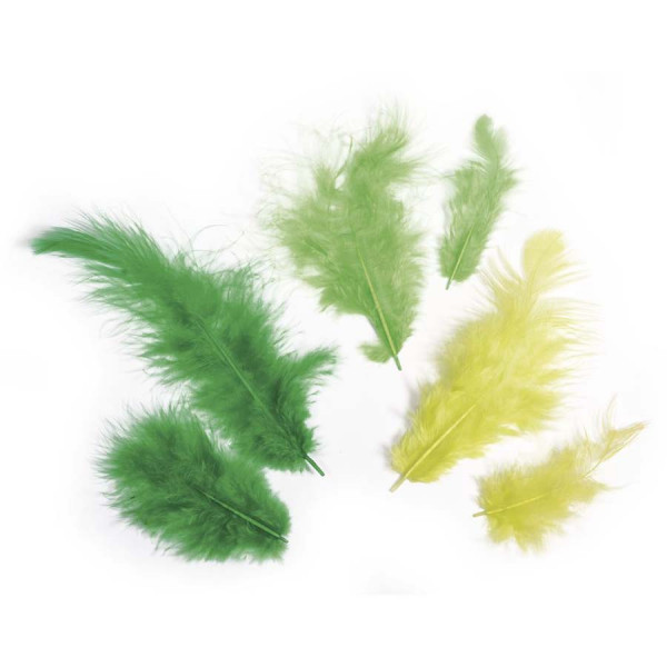 Plumes - Camaïeu vert - 3-10 cm - 10 g