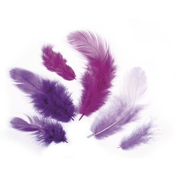 Plumes - Camaïeu violet - 3-10 cm - 10 g
