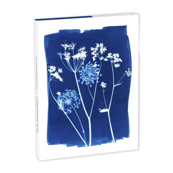 Set de correspondance Cyanotype 12 x 16,5 cm